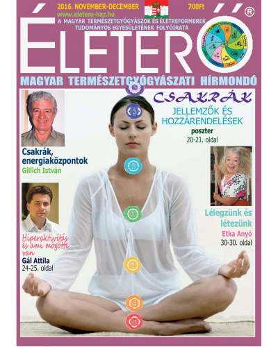Életerő Magazin 2016/9.